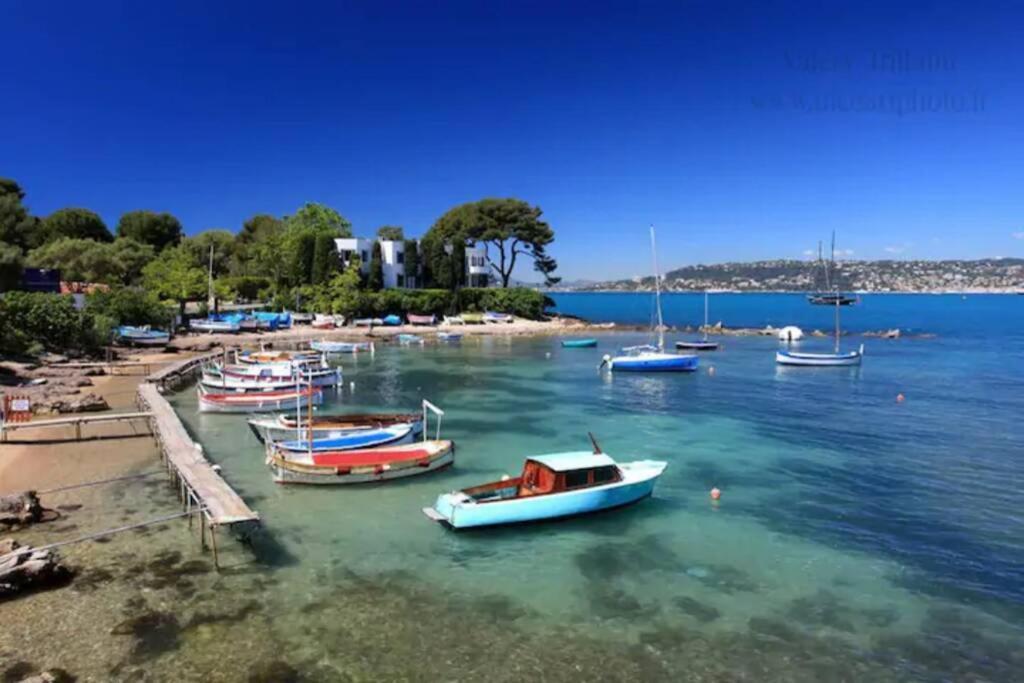 Apartment Coeur De Juan, Calme, 300m Plages - Easy Check-in Antibes